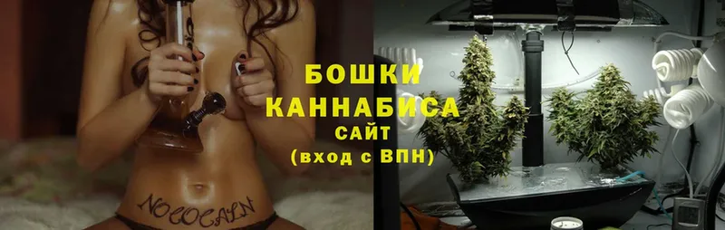 Шишки марихуана SATIVA & INDICA  Правдинск 